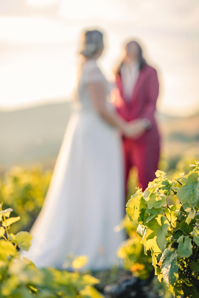 Plan large d'un couple enlacé et riant au milieu des vignes. La netteté est faite sur les feuilles de vigne devant eux, le couple est dans le flou d'arrière plan